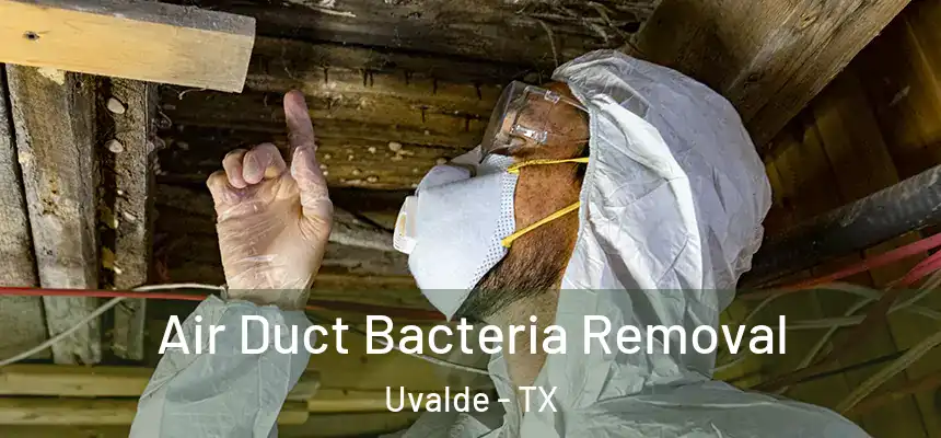  Air Duct Bacteria Removal Uvalde - TX