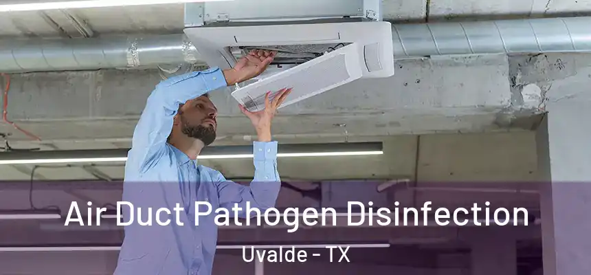 Air Duct Pathogen Disinfection Uvalde - TX