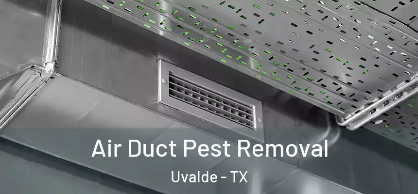 Air Duct Pest Removal Uvalde - TX