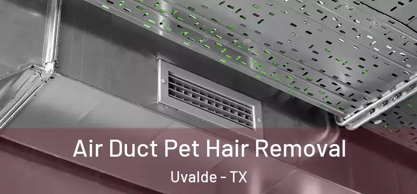 Air Duct Pet Hair Removal Uvalde - TX