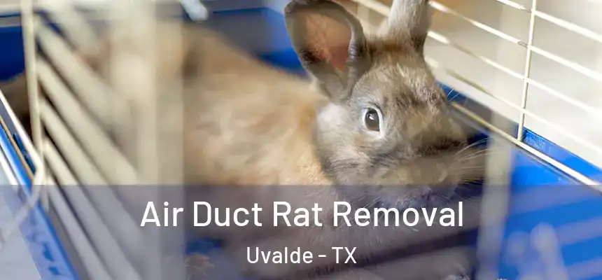  Air Duct Rat Removal Uvalde - TX