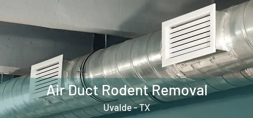 Air Duct Rodent Removal Uvalde - TX