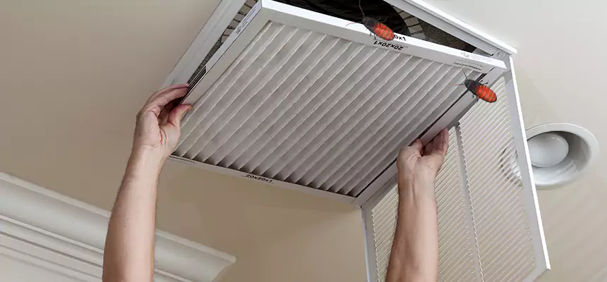Preventive Cockroach-Proofing for Ducts in Uvalde