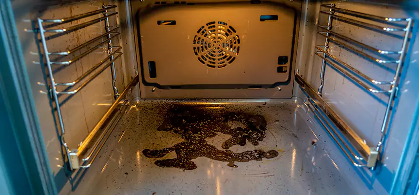 Our Dryer Vent Mold Cleaning Services in Uvalde, TX