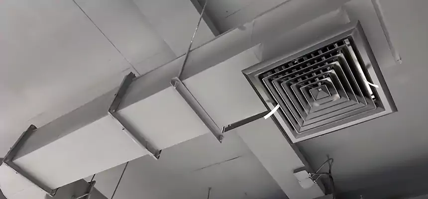 Our Pest Removal From Ducts Services in Uvalde, TX