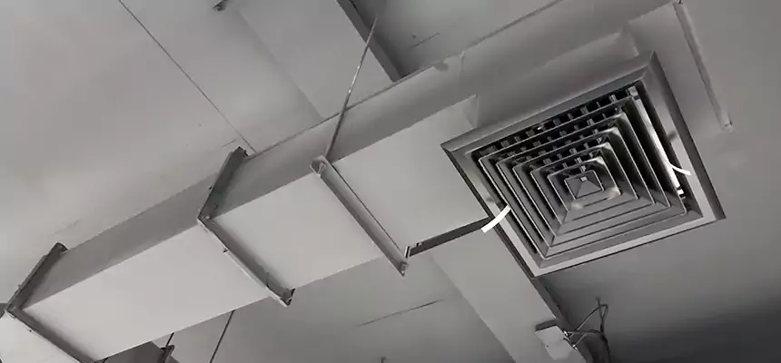 Our Rodent Droppings In Vents Services in Uvalde, TX