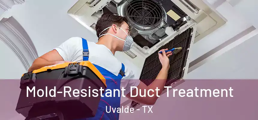 Mold-Resistant Duct Treatment Uvalde - TX