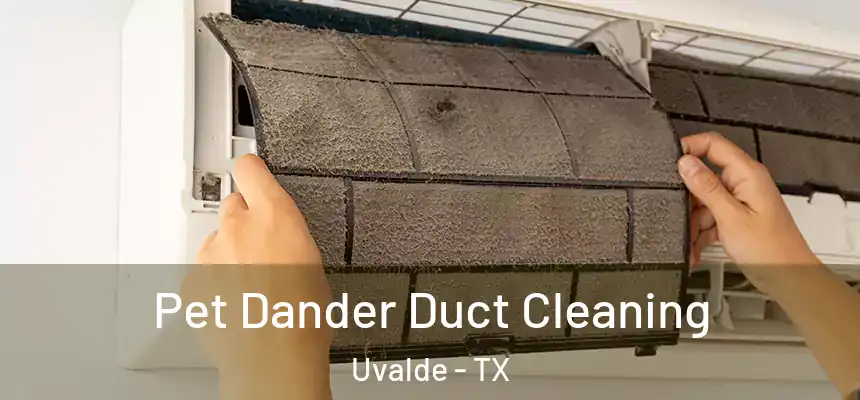 Pet Dander Duct Cleaning Uvalde - TX