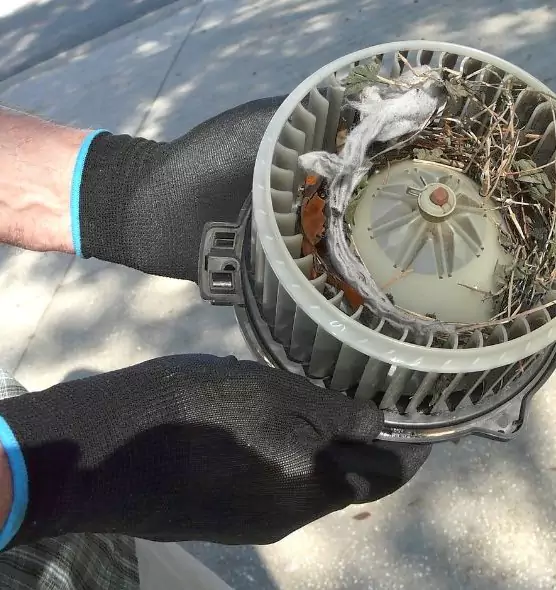 About Air Duct Mice Removal in Uvalde, TX