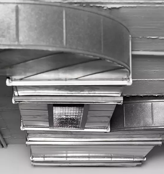 Professional Air Duct Pest Removal in Uvalde, TX