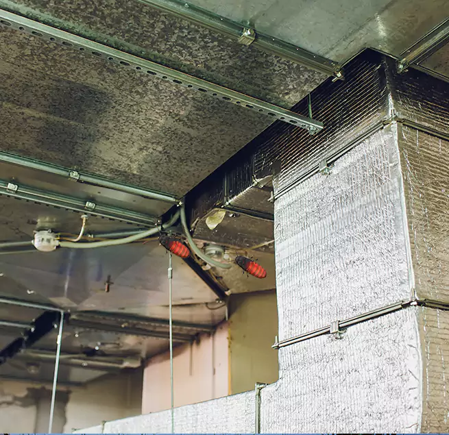 Why Homeowners & Businesses Trust Us in Uvalde, TX?