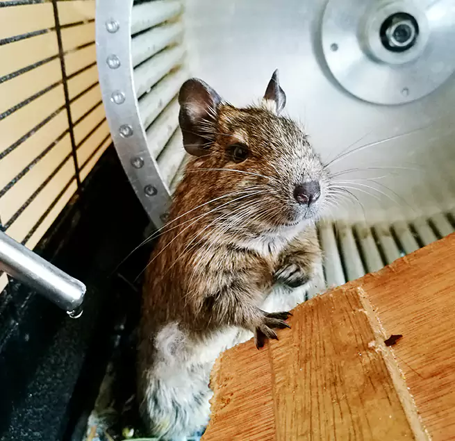 Why Homeowners & Businesses Trust Us Uvalde, TX