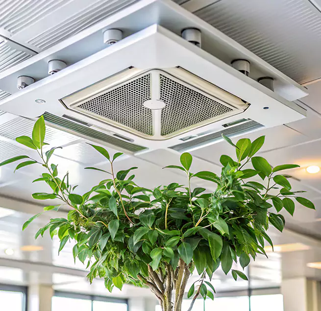 Why Homeowners & Businesses Trust Us in Uvalde, TX